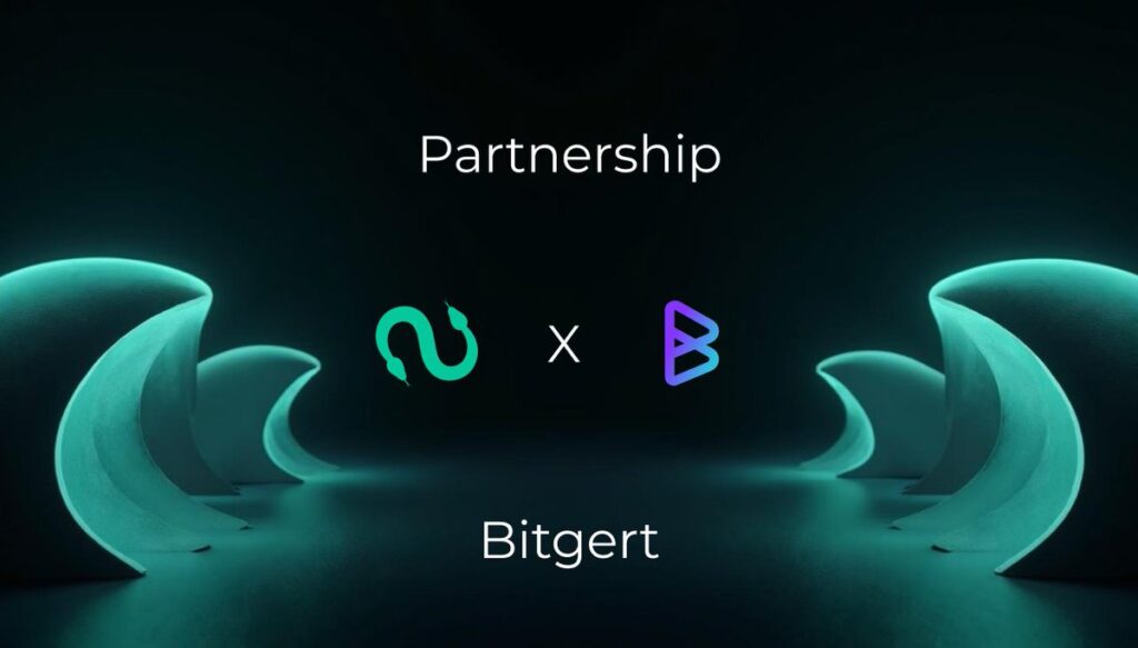 Sallar Partners with Bitgert